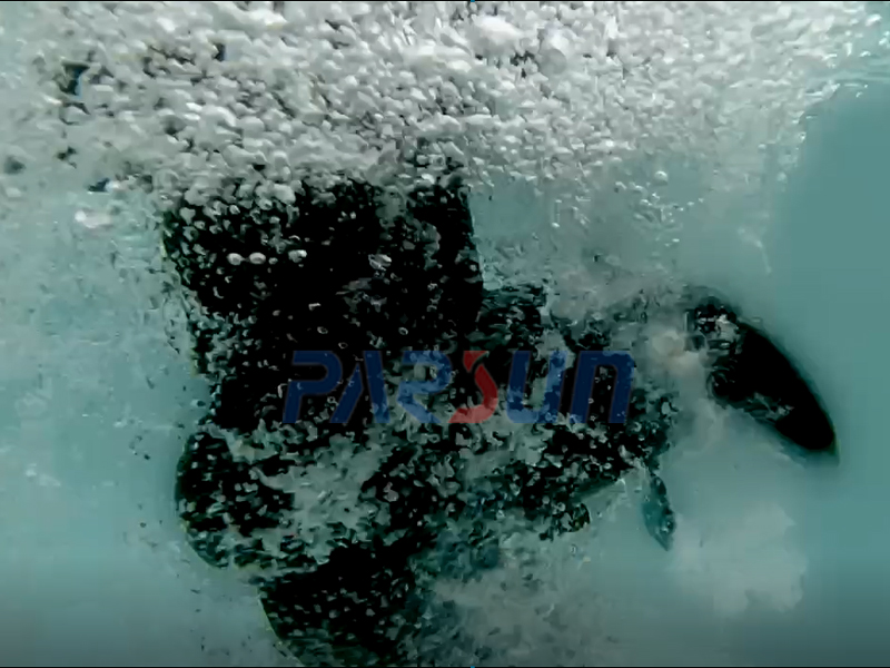 我可以在盐水中使用电动舷外电机吗？